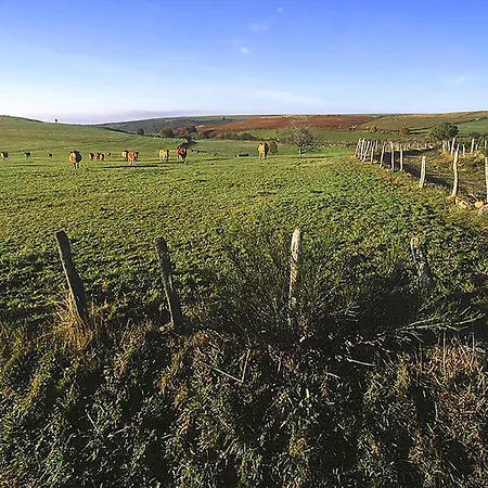 宜必思罗德中央酒店 酒店