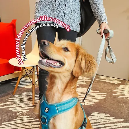 Hotel Ibis Centre Rodez