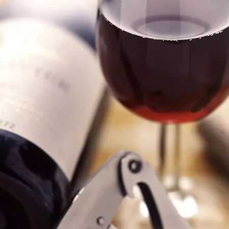 Ibis Centre Hotel 3*